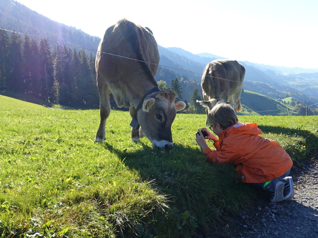 Niña sentada en el suelo fotografiando a una vaca